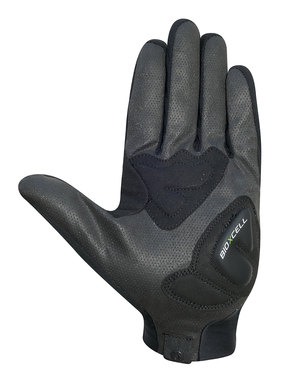 BioXCell Touring red