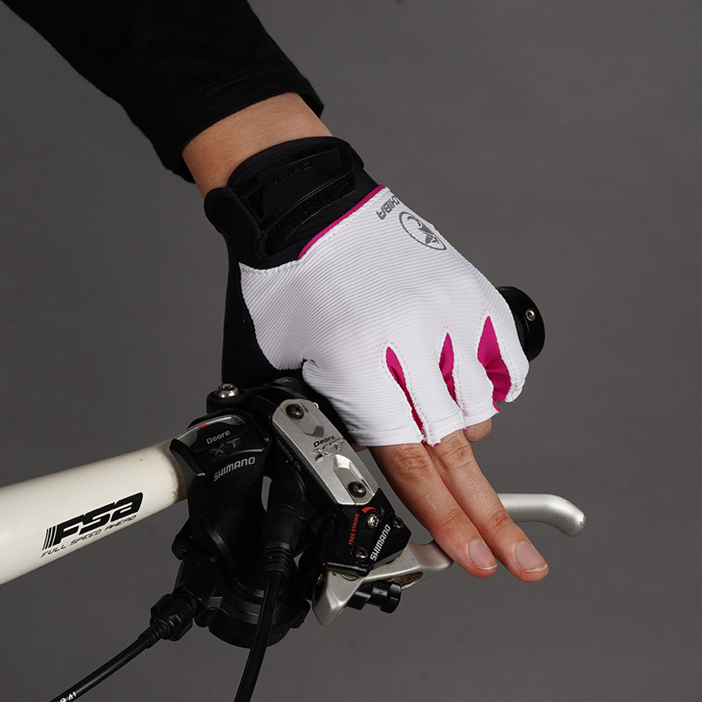 BioXCell Lady white