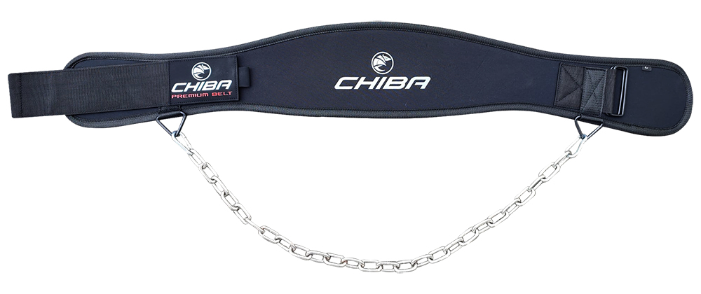 Premium Dipping & Training Belt black/10