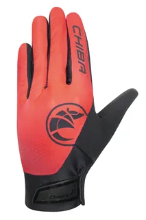 BioXCell Touring